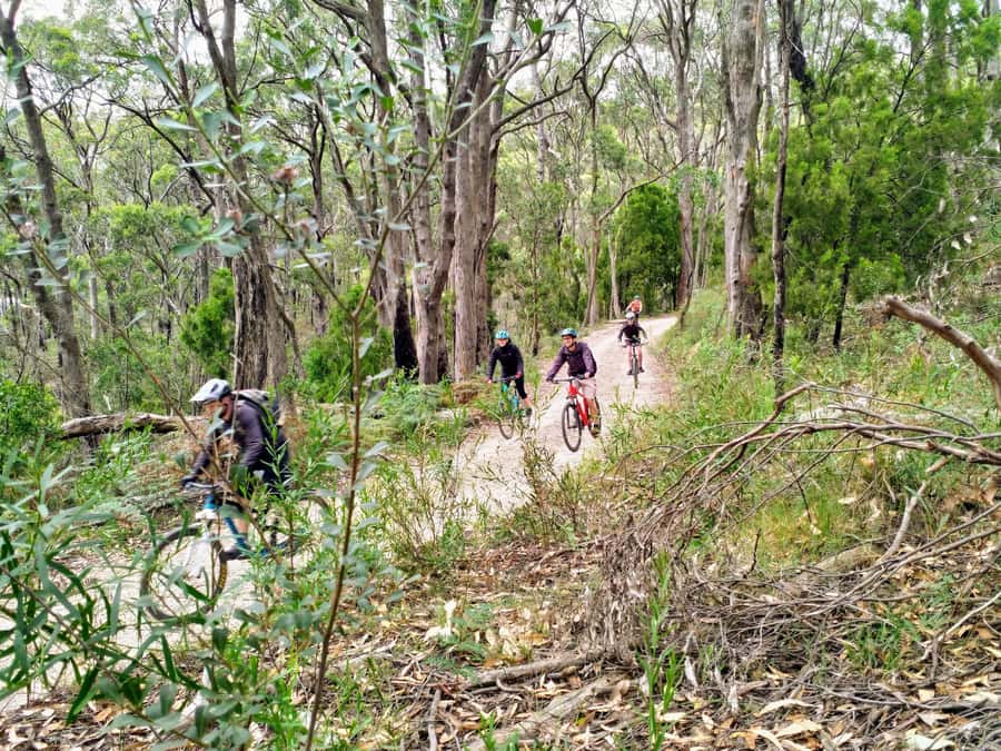 Adelaide Hills: E-Bike Self-Guided Tour with Coffee and Cake - What to bring so the ride stays comfortable