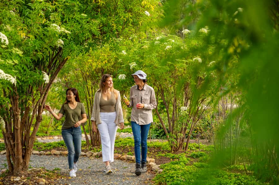 Adelaide Hills: Jurlique Farm Tour - Key things I’d watch for on this tour