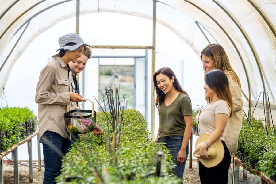 Adelaide Hills: Jurlique Farm Tour - Jurlique Farm Tour: biodynamic skincare in the Adelaide Hills