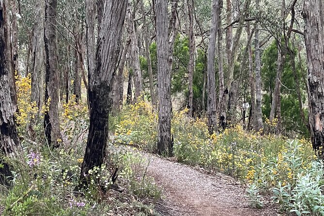 Adelaide Hills Nature Highlights Self-Guided e-Bike Tour - How Long You Really Need: From 2 Hours to All Day