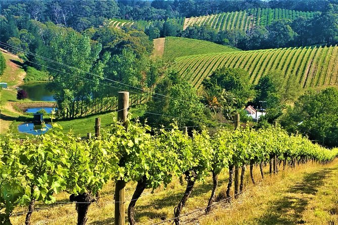 Adelaide Hills Private Day Tour - Key Points at a Glance