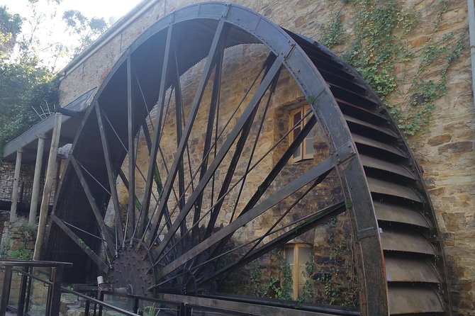 Adelaide Hills Private Day Tour - The Guide Experience: Warm Service and Personal Matching