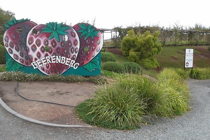 Adelaide Hills Regional / Hahndorf German Village Tour - Nepenthe Wines: a cellar door stop with a Homer backstory