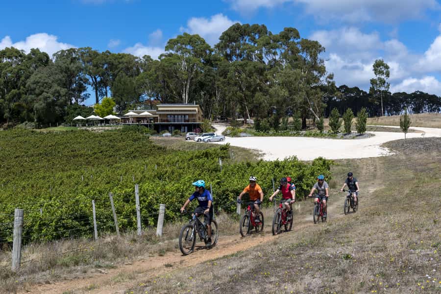 Adelaide Hills: Self-guided E-Bike wine tour with Lunch - Morning in Belair National Park: coffee, muffin, and a Birdie loop test