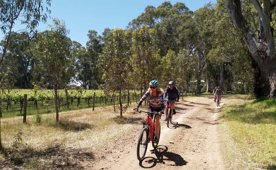 Adelaide Hills: Self-guided E-Bike wine tour with Lunch - Choosing your route: Mount Lofty and Piccadilly Valley vs Mark Olliphant