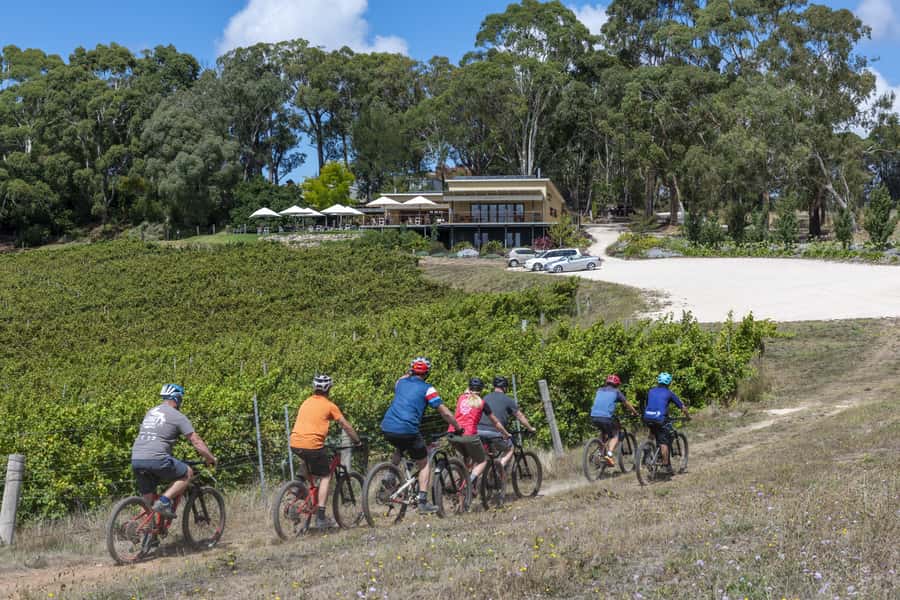 Adelaide Hills: Self-guided E-Bike wine tour with Lunch - The winery lunch and tasting: Deviation Road or Tapanappa
