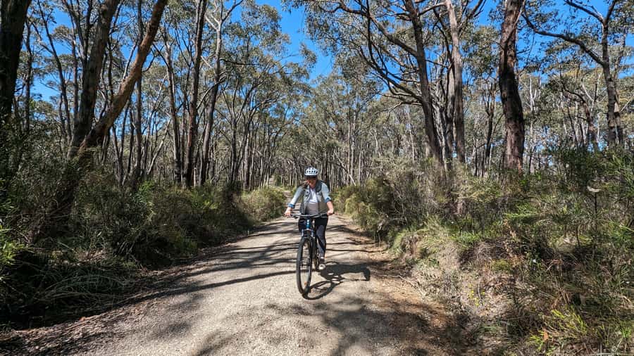 Adelaide Hills: Self-guided E-Bike wine tour with Lunch - Optional second winery: when extra $20 makes sense