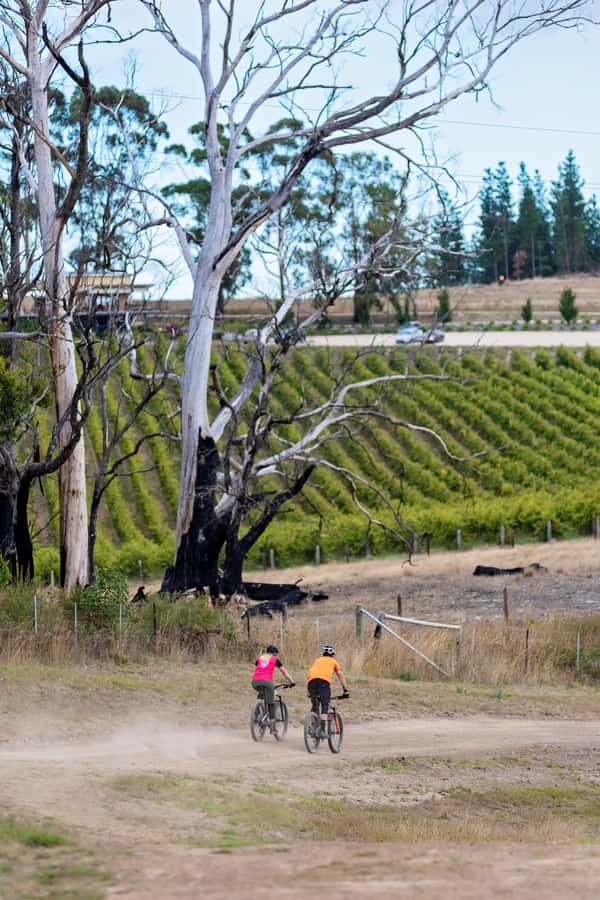 Adelaide Hills: Self-guided E-Bike wine tour with Lunch - The ride back: back roads, dirt tracks, and a final descent into Belair