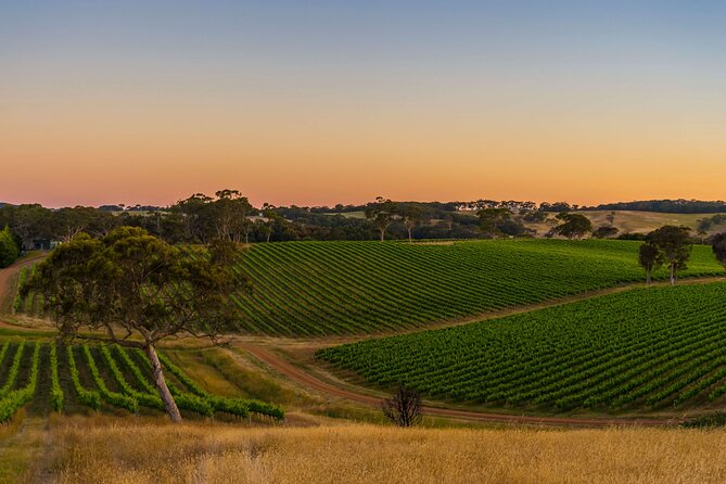 Adelaide Hills Wine Tour - Price and value: is $135.56 worth it?