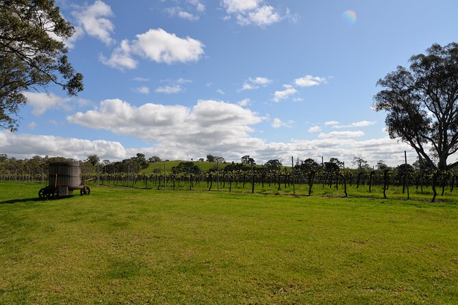 Adelaide Japanese Group Winery Day Tour in Barossa and Hahndorf - A tight 8-hour mix of German charm and Shiraz