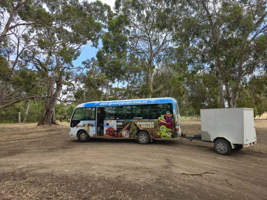 Adelaide: Kangaroo Island 2-Day Epic Wildlife Adventure - Day 1: Penneshaw, Pennington Bay, Prospect Hill, and Koalas at Duck Lagoon