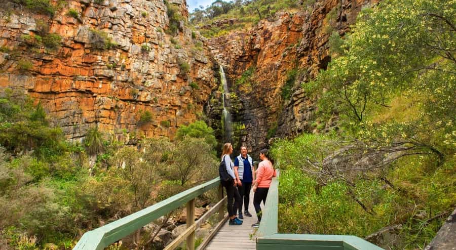 Adelaide: Morialta Wilderness and Wildlife Hike - The Small Details That Help You Have a Better Time