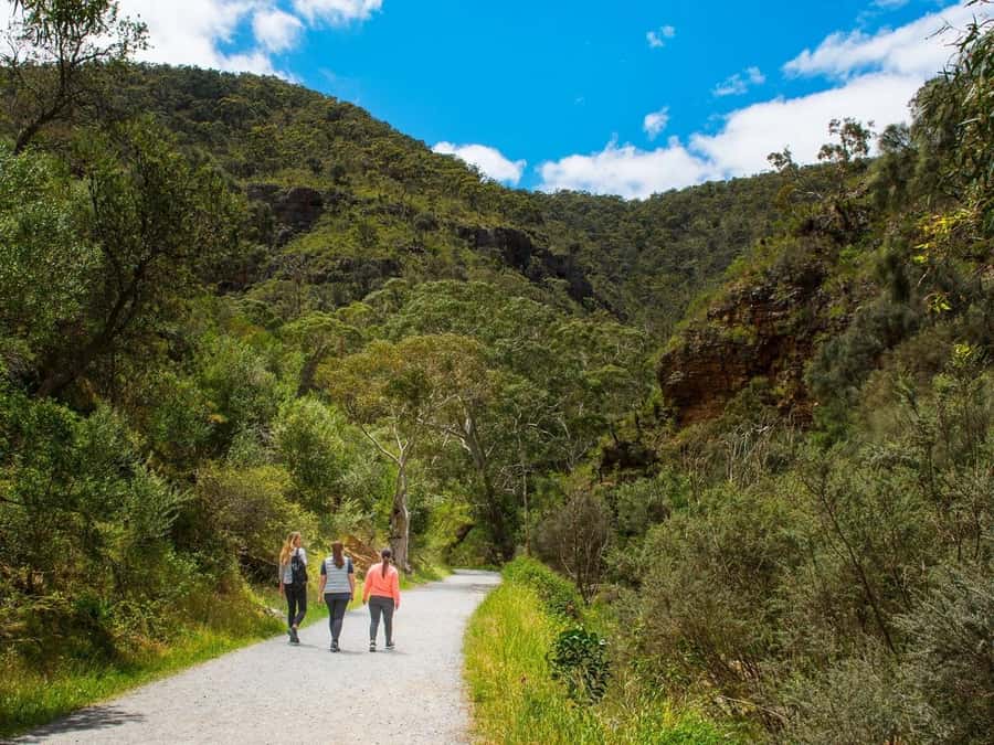 Adelaide: Morialta Wilderness and Wildlife Hike - Wildlife Spotting That Doesn’t Feel Random