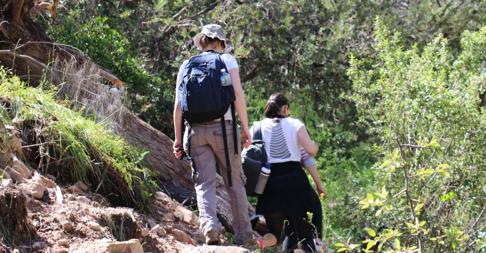 Adelaide: Morialta Wilderness and Wildlife Hike - Birds, Bush Sounds, and Why Your Listening Matters