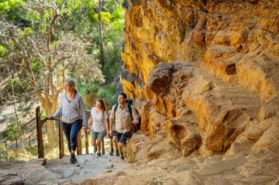 Adelaide: Morialta Wilderness and Wildlife Hike - Pace and Terrain: How “Moderate” Feels in Real Life