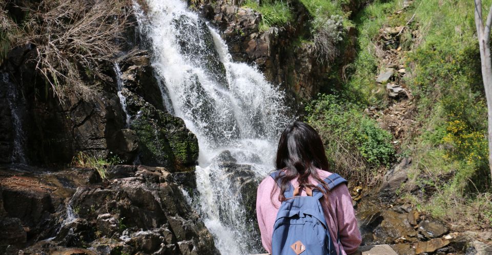 Adelaide: Morialta Wilderness and Wildlife Hike - Price and Value: What $87 Buys You (and What It Doesn’t)