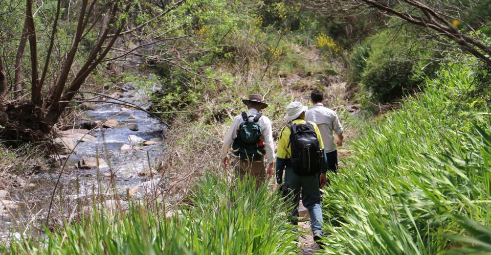 Adelaide: Morialta Wilderness and Wildlife Hike - Who Should Book This Hike (and Who Might Want Another Option)