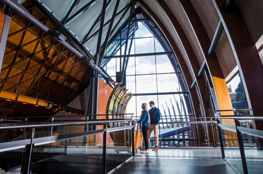 Adelaide: National Wine Centre Wine Discovery Journey - The 30-Minute Wine Discovery Journey: What You Actually Learn
