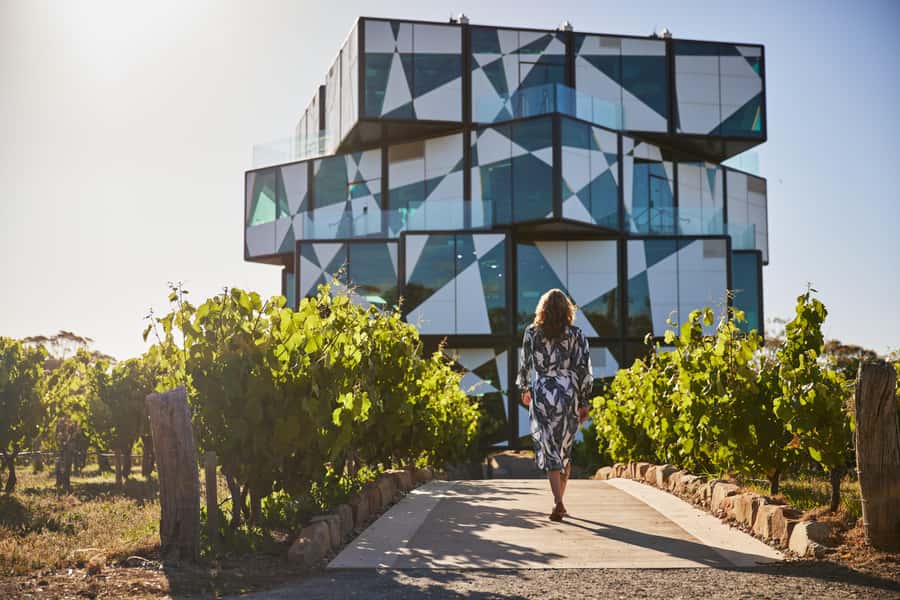 Adelaide: Premium McLaren Vale Wine and Brew Minibus Tour - A full-day McLaren Vale fix, built around tastings (and sanity)