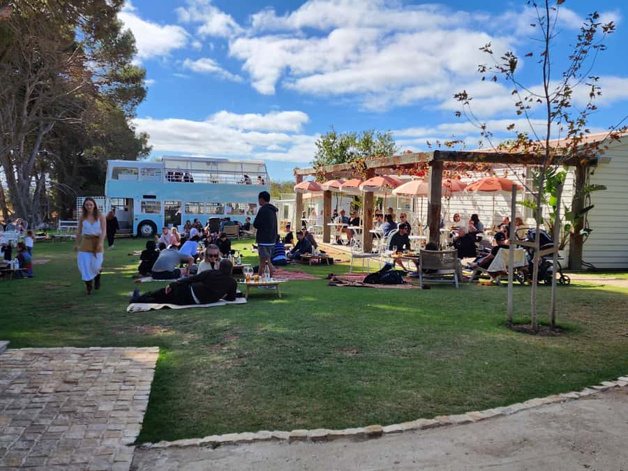Adelaide: Premium McLaren Vale Wine and Brew Minibus Tour - Swell Brewing Co. Taphouse & Brewery: lunch on the lawns plus beer tastings