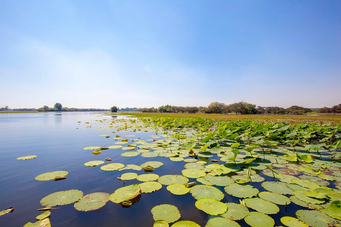 Adelaide River Jumping Croc Cruise - Fogg Dam Nature Reserve: Wetland Ecosystem Views on the Return