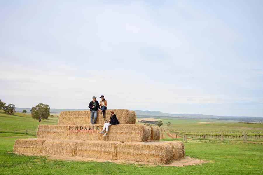 Adelaide: Small Group Tour of Barossa, Wineries with Lunch - Pindarie Cellar Door: Morning Tea in an Australian Homestead Setting