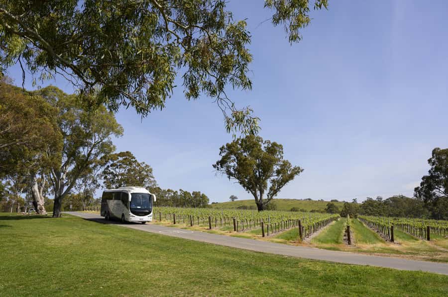 Adelaide: Small Group Tour of Barossa, Wineries with Lunch - Lambert Estate Wines: Lunch, Structured Tastings, and Chocolate Port