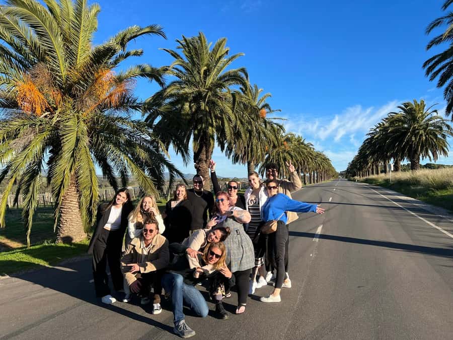 Adelaide: South Australia Guided Full-Day Highlights Tour - Value for $126: What the Lunch + Transport Combo Really Buys You