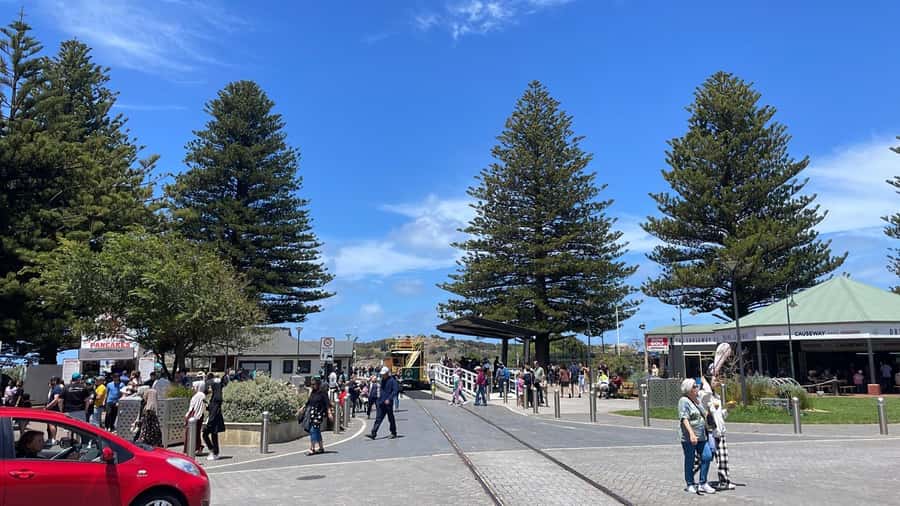 Adelaide: South Australia Guided Full-Day Highlights Tour - d’Arenberg Cube in McLaren Vale: Modern Wine Tasting with a Photo-Stop Feel