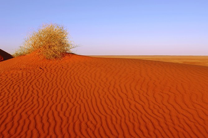 Adelaide to Coober Pedy 7-Day Small Group 4WD Eco Safari - Day 1: Coastal history on the Spencer Gulf and a jetty walk