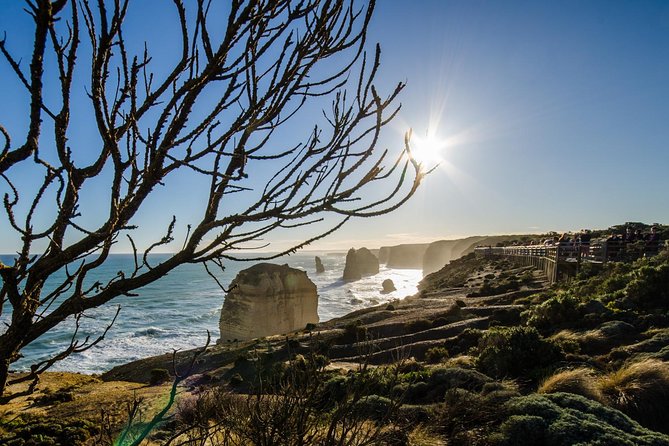 Adelaide to Melbourne 3-Day Trip Grampians and Great Ocean Road - Guides and group vibe: why it matters on a packed itinerary