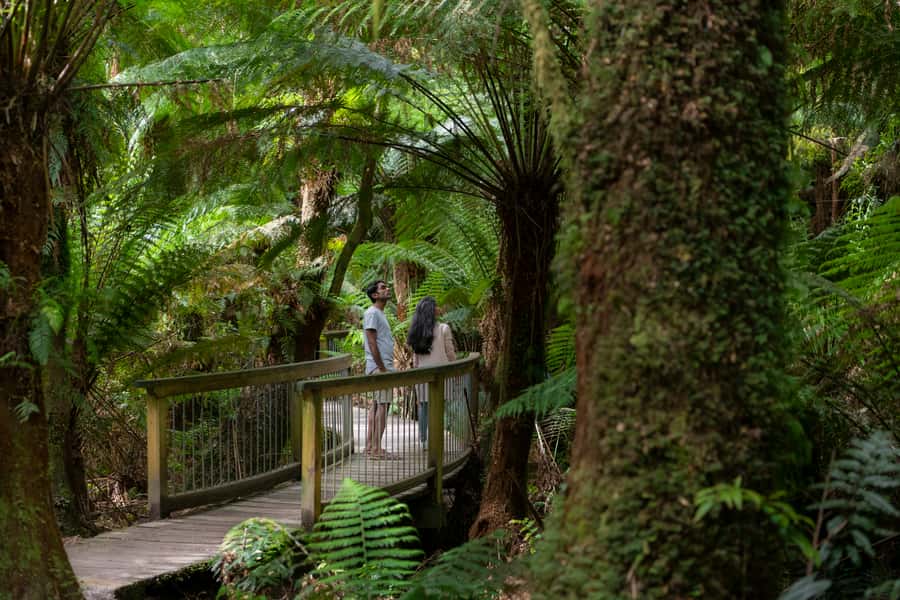Adelaide to Melbourne: 3-Day Ultimate Overland Journey - What’s included (and why it’s good value at this price)