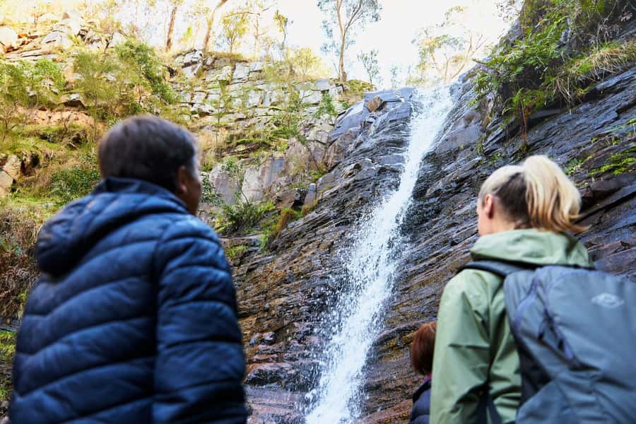 Adelaide to Melbourne: 3-Day Ultimate Overland Journey - Guide style and group vibe: the human factor you should check