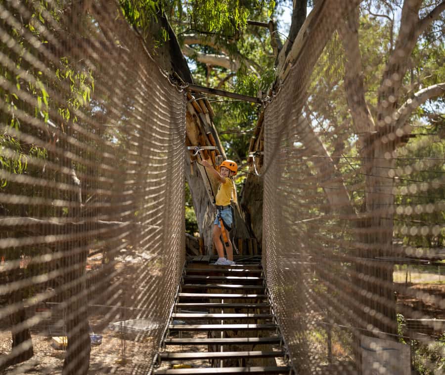 Adelaide: TreeClimb Adelaide Climb For Little Adventurers - Key points to know before you go
