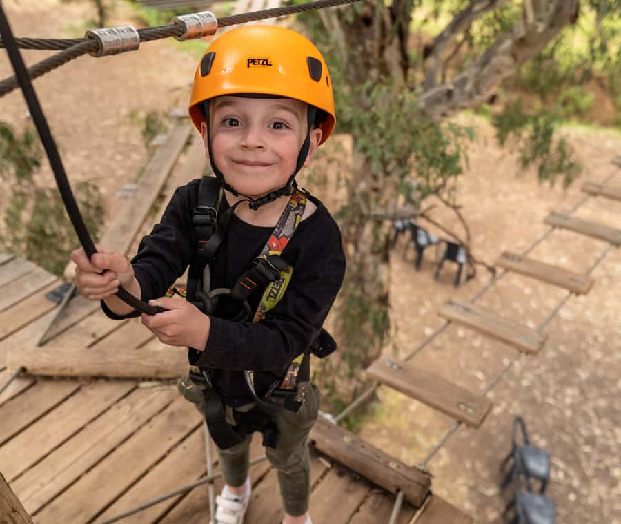 Adelaide: TreeClimb Adelaide Climb For Little Adventurers - Rope bridges, swings, and zip lines: the moments kids remember