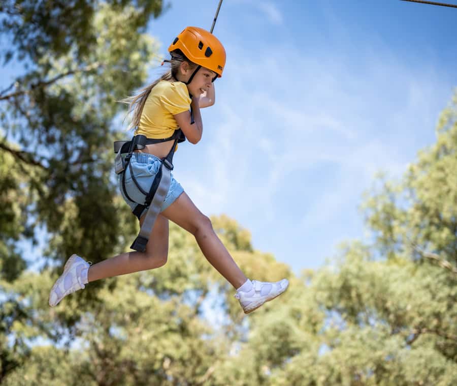 Adelaide: TreeClimb Adelaide Climb For Little Adventurers - Before the climb: check-in, harnessing, and safety induction