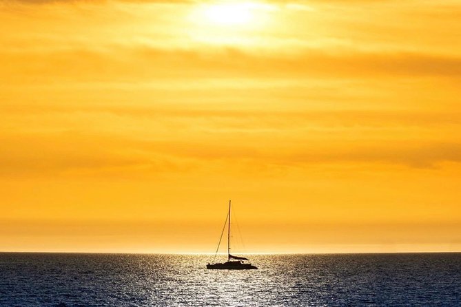 Adelaide Twilight Cruise from Glenelg - Key things I’d bet on from this Adelaide Twilight Cruise