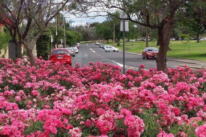 Adelaide Walking Tour: Hills, Squares and Parklands - Price and Value: Is $36.93 Worth It?
