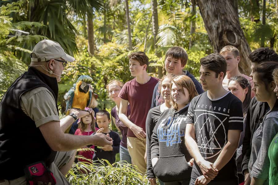 Adelaide Zoo: General Admission Tickets - Keeper Presentations and the Zoo’s Daily Rhythm