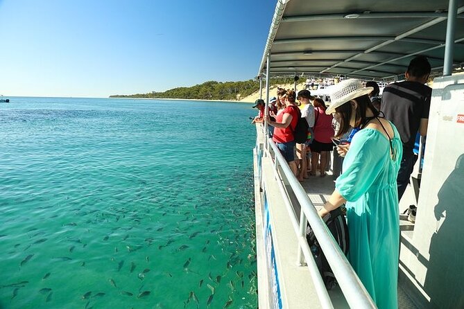Adventure Moreton Island Wrecks Adventure Package - Key things to know before you go