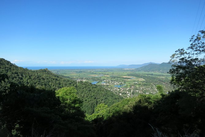 Adventure on a Budget Visit Kuranda or Palm Cove from Pt Douglas - Wet season reality: rain can change how the route works