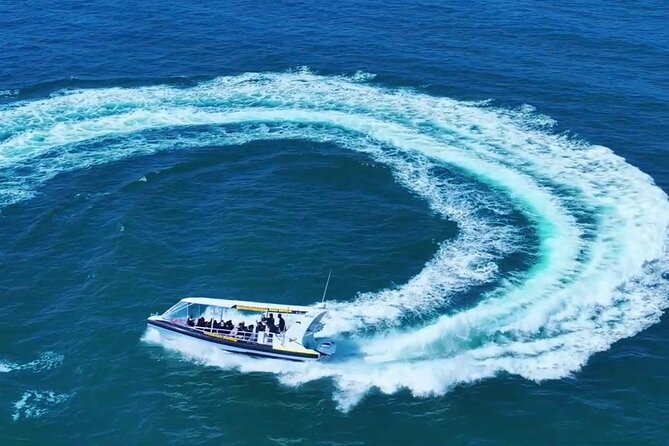 Adventure Rafting - Mooloolaba Turtle Tour - Price and value: is $71 worth one hour of spray and speed?