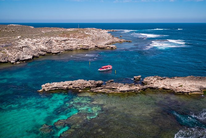 Adventure Rottnest Tour with Ferry & Adventure Cruise - Key things I’d watch for before you go