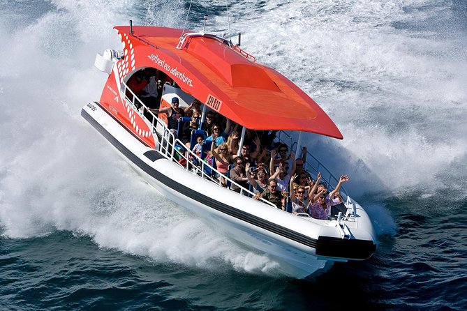 Adventure Rottnest Tour with Ferry & Adventure Cruise - Price and Value: What $117.27 Actually Covers