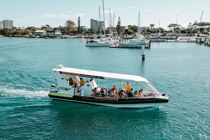 Adventure Whale Watching Tour Mooloolaba - The coastline route: what you see at each stop
