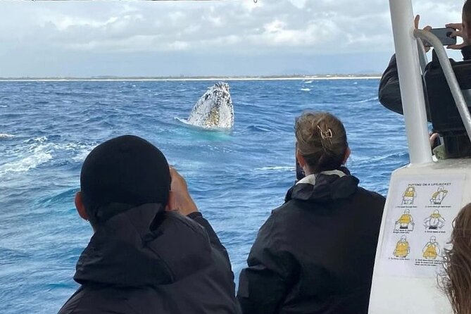 Adventure Whale Watching Tour Mooloolaba - Who this tour fits best (and who should skip it)