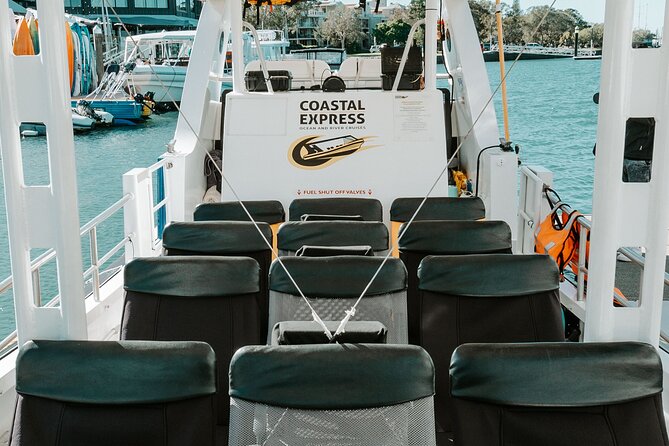 Adventure Whale Watching Tour Mooloolaba - Weather and comfort: what to bring besides the included gear