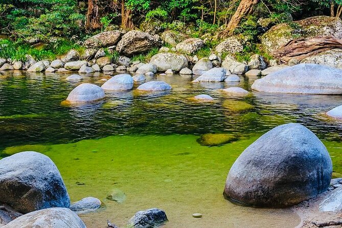 Affordable Return Mossman Gorge from Port Douglas Transfers - Pickup Timing: The 10-Minute Rule That Prevents Stress