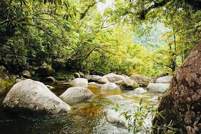 Affordable Return Mossman Gorge from Port Douglas Transfers - Comfort and Family-Friendly Details That Actually Matter