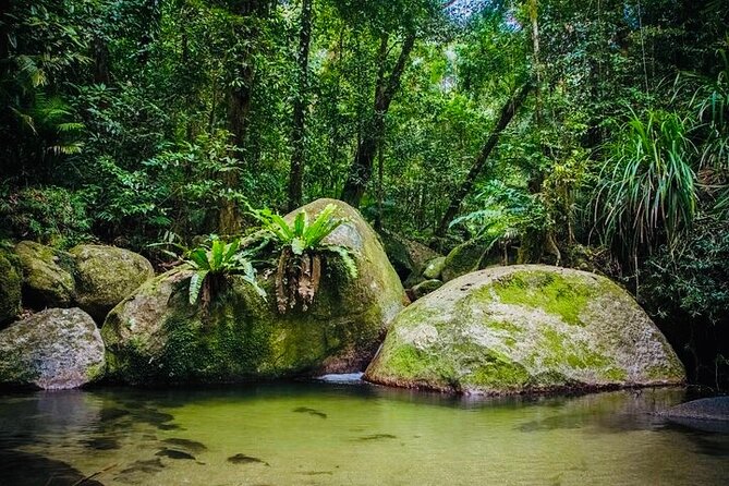 Affordable Return Mossman Gorge from Port Douglas Transfers - Price and Value: Why $28.69 Feels Fair for a Return Trip